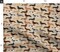 Haired Dachshunds Dogs Pet Cute Pets Weenie Dachshund Custom Printed Fabric by Spoonflower Various Fabrics by the Yard or Fat Quarter